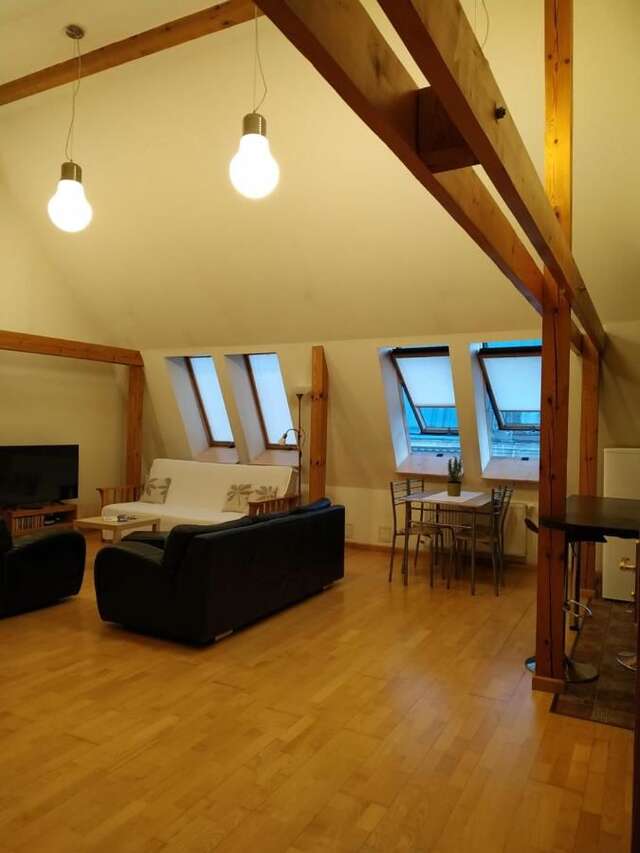 Апартаменты Sunlit Loft Apartment Riga Рига-3